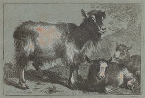 Capra e Due Capretti da Francesco Londonio