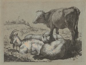 Bue in piedi, due pecore e una capra, c. 1762 da Francesco Londonio