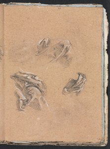 Verona Sketchbook: Studi di drappeggio (pagina 69)