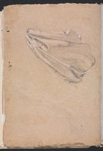 Verona Sketchbook: Studio di drappeggio (pagina 6) da Francesco Lorenzi