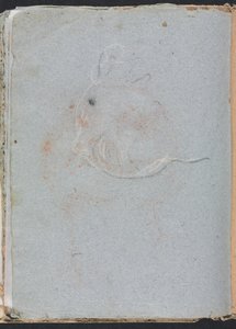 Taccuino di Verona: Testa (pagina 30)