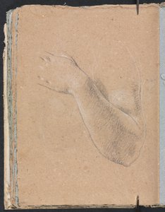 Verona Sketchbook: Braccio sinistro e mano (pagina 46) da Francesco Lorenzi
