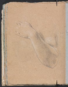 Verona Sketchbook: braccio sinistro e mano pagina 46, 1760 da Francesco Lorenzi