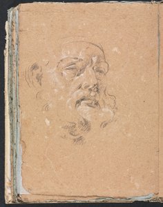 Verona Sketchbook: Testa maschile (pagina 76) da Francesco Lorenzi
