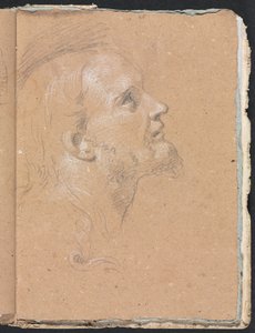 Verona Sketchbook: Testa maschile di profilo (pagina 91)