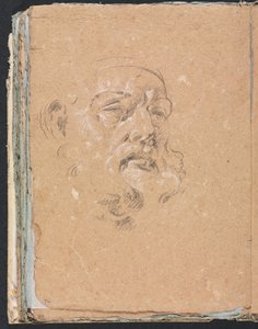 Verona Sketchbook: Testa maschile pagina 76 da Francesco Lorenzi