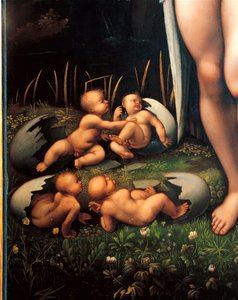 Leda e il cigno (dettaglio) da Francesco Melzi or Melzo