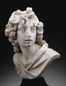 Busto di un giovane, forse San Giovanni Battista da Francesco Mochi