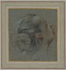 Testa di una ragazza di profilo
