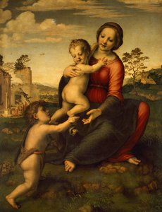 Nostra Signora del pozzo da Francesco di Cristofano Franciabigio