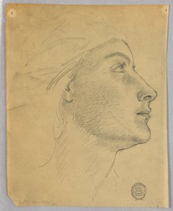 Testa di una donna
