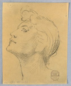 Testa di una donna