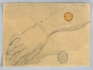 Schizzo di mano e polso