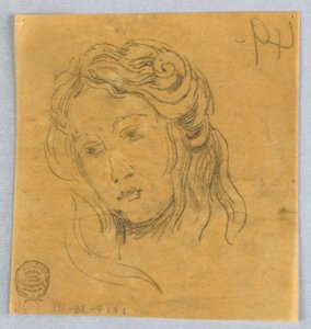Schizzo della testa di una donna