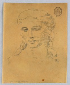 Schizzo della testa di una donna