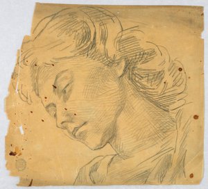 Schizzo della Testa di una Donna