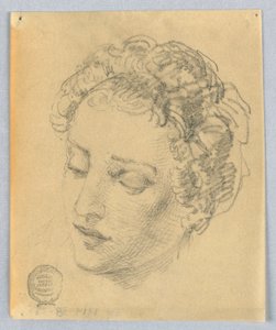 Schizzo della testa di una donna