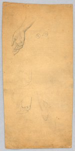Studi di mani e un piede da Francis Augustus Lathrop