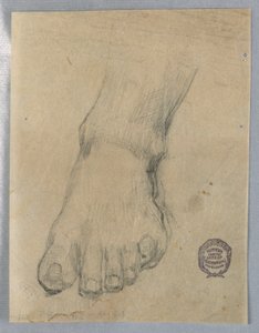 Studio per un piede