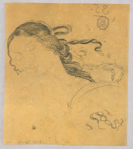 Studio dei capelli di una donna