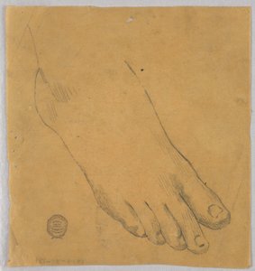Studio di un piede destro