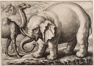 Un elefante e un cammello, inciso da Wenceslaus Hollar (1607-77) 1663 da Francis Barlow