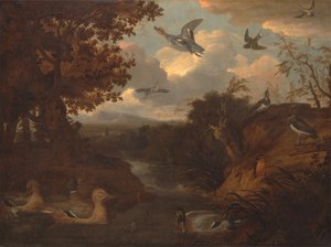 Anatre e altri uccelli intorno a un ruscello in un paesaggio all