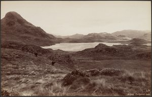 Arthog, Lago Creigene