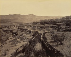 Betlemme - Il campo dei pastori