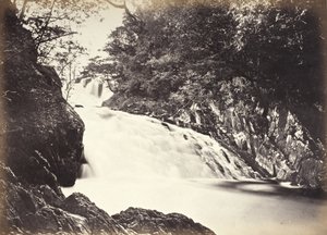  da Francis Bedford
