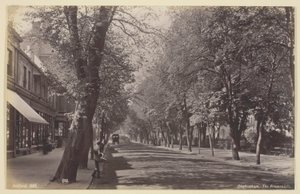 Cheltenham, il Viale