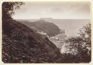 Clovelly dall