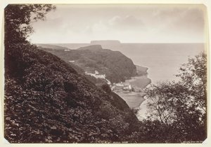 Clovelly dall