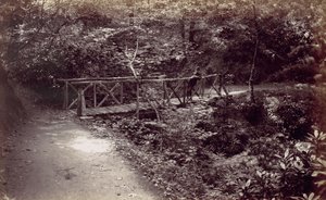 Colwyn Bay. Ponte rustico nel bosco, 1870s