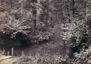 Colwyn Bay. La piscina nel bosco da Francis Bedford