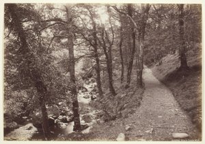 Dolgelley, veduta in Torrent Walk