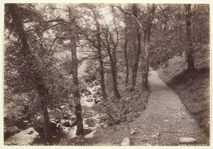 Dolgelley, vista in Torrent Walk, 1860-94