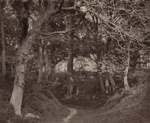 Glen Kenilworth, c. 1868 (foto) da Francis Bedford