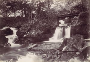 Glen Lun. Il Ponte Rustico, 1870s da Francis Bedford
