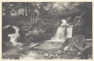 Glen Lyn, il ponte rustico da Francis Bedford
