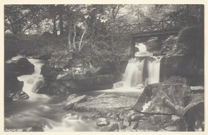 Glen Lyn, il Ponte Rustico, 1860-94 da Francis Bedford