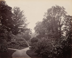 Sentiero di Alexandra Park, 1863 ca. 1863 (foto) da Francis Bedford