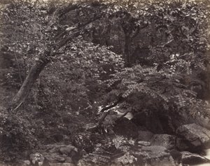 Glen a Lynmouth da Francis Bedford, Francis Frith