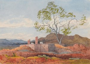 Rovina ad Agoola, Tigre da Francis Cornelius James