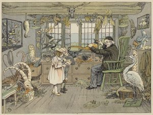 Bird-Stuffer (litografia a colori) da Francis Donkin Bedford