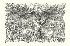 Merrie England: Robin Goodfellow (litografia) da Francis Donkin Bedford