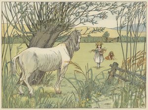 Il vecchio cavallo dell