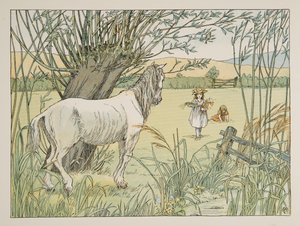 Il vecchio cavallo dell