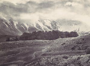 Vista Distante dei Cedri del Libano, ca. 1857 da Francis Frith