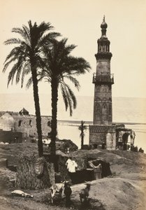"Egitto e Palestina": vista di Girgeh, Alto Egitto da Francis Frith